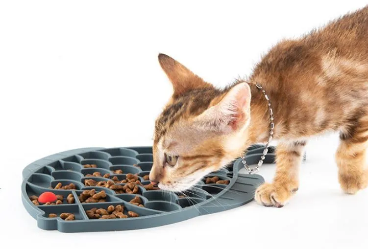 Pet Products 08